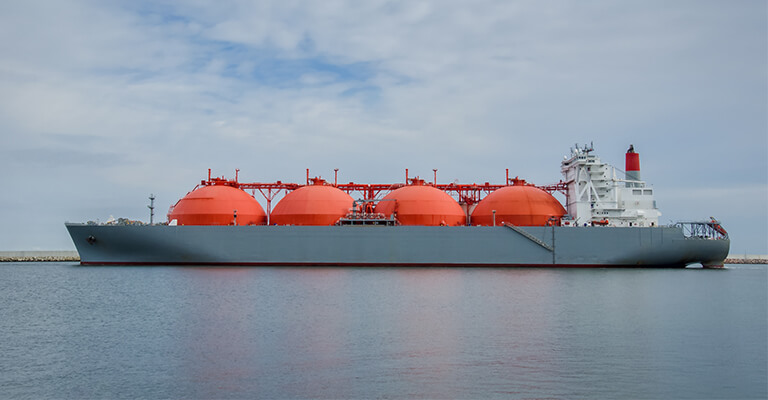 Faaliyet Alanlarımız