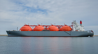 Faaliyet Alanlarımız